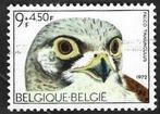 1 Postzegel België 1972 Vogels Torenvalk, Frankeerzegel, Ophalen of Verzenden, Gestempeld, Gestempeld