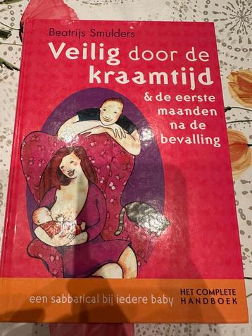 Beatrijs Smulders - Veilig door de kraamtijd beschikbaar voor biedingen