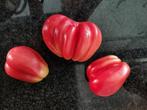5 zaden Pink fig tomaat - Inzhir Rozovyi - biologisch, Verzenden, Voorjaar, Zaad