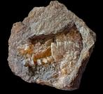 **TOP** CALCIET kristalgroepen uit België., Ophalen of Verzenden, Mineraal