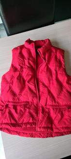 bodywarmer voor dames, Vêtements | Femmes, Vêtements de sport, Rouge, Taille 38/40 (M), Comme neuf, Enlèvement