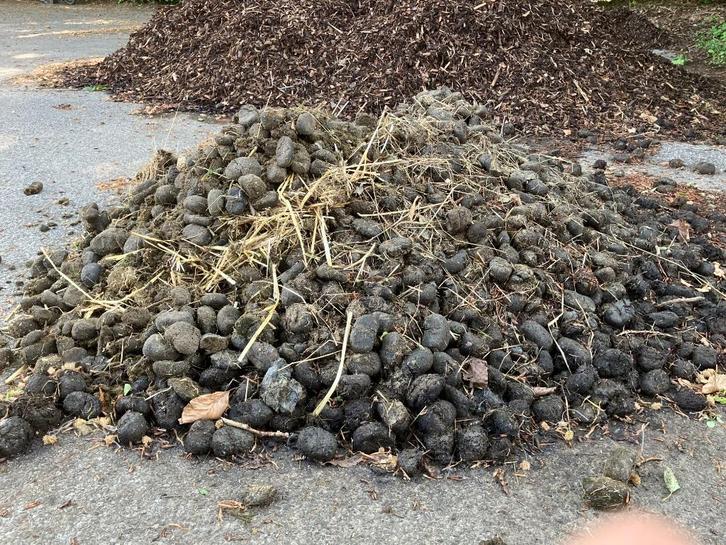 Ezelmest, Tuin en Terras, Aarde en Mest, Mest, Ophalen