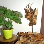 Buste décoratif en bois, Enlèvement