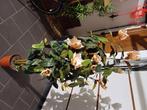 Plante artificielle 1.50 m, Huis en Inrichting, Kamerplanten, Ophalen, 100 tot 150 cm, Overige soorten, In pot