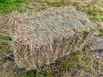 Kleine hooibalen te koop, Dieren en Toebehoren, Dierenvoeding, Ophalen