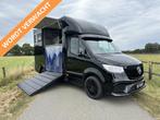 Mercedes-Benz Sprinter 314 AMG 2-paards paardenvrachtwagen B, Dieren en Toebehoren, Gebruikt, Overige typen