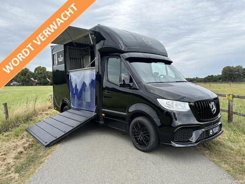 Mercedes-Benz Sprinter 314 AMG 2-paards paardenvrachtwagen B, Dieren en Toebehoren, Paarden en Pony's | Trailers en Aanhangwagens