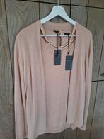NIEUW!!! Twinset Caroline Biss Mt40 (nwpr 240eur), Kleding | Dames, Truien en Vesten, Maat 38/40 (M), Nieuw, Ophalen of Verzenden