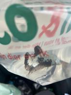 betta samouraï, Poisson, Poisson d'eau douce