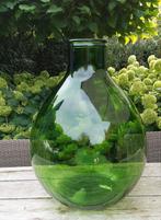 Planten terrarium, Ophalen