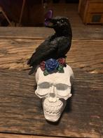 Skull with crow - beeld schedel met kraai - halloween, Ophalen of Verzenden