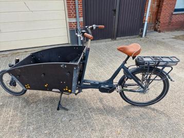 Elektische bakfiets vogue beschikbaar voor biedingen