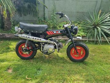 Honda dax beschikbaar voor biedingen