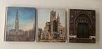 Steden van België: Brugge, Gent, Brussel, Boeken, Ophalen of Verzenden, Gelezen