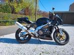 Aprilia tuono, Motoren, Particulier