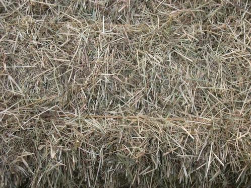 HOOI - KLEINE PAKJES SUPERHOOI - 1ste snede 2025, Dieren en Toebehoren, Dierenvoeding, Ophalen