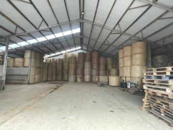 Ronde balen hooi te koop, Zakelijke goederen, Landbouw | Veevoer, Ophalen of Verzenden