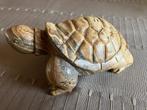 Stenen schildpad, Ophalen of Verzenden