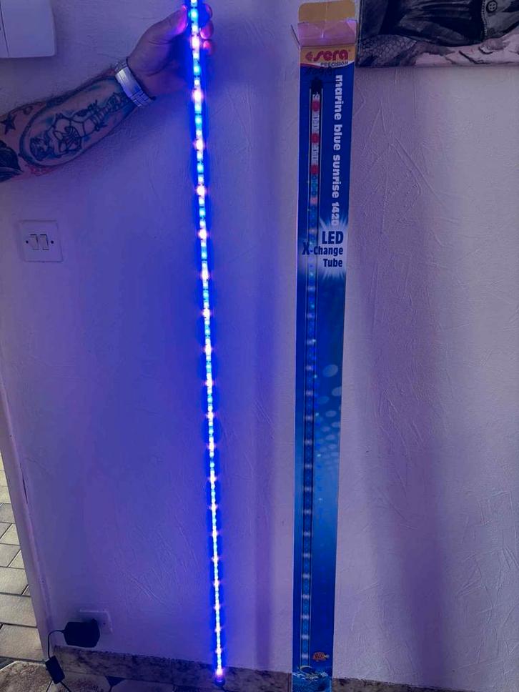 Tube Led Sera bleu, Dieren en Toebehoren, Vissen | Aquaria en Toebehoren, Ophalen