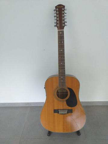 Semi-akoestische 12 string gitaar