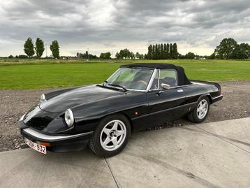 Alfa Romeo Spider 1600 beschikbaar voor biedingen