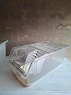 T1 labbakken, Animaux & Accessoires, Rongeurs, Avril, Souris