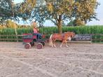 Koest geremd, Dieren en Toebehoren, Ophalen
