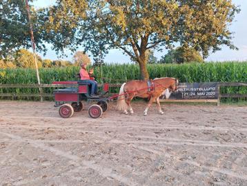 Koest geremd  beschikbaar voor biedingen