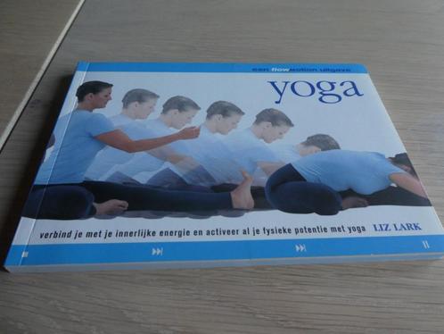 Yoga, een flowmotion uitgave, Livres, Ésotérisme & Spiritualité, Comme neuf, Manuel d'instruction, Méditation ou Yoga, Enlèvement ou Envoi