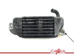 RADIATEUR EAU BMW R 1200 C (R1200C 97) (01-1997/-), Motos, Utilisé