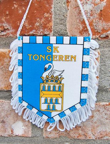 SK Tongeren 1980s vintage wimpel vaantje vaandel vlag, Enlèvement ou Envoi