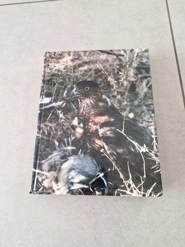 Desert Hawking... with a little help from my friends, Boeken, Dieren en Huisdieren, Gelezen, Vogels, Ophalen of Verzenden