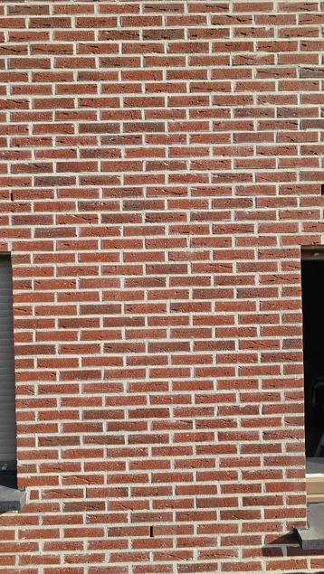 gevelstenen rood nieuw  beschikbaar voor biedingen