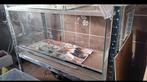 Terrarium 80x40x40, Dieren en Toebehoren, Ophalen, Gebruikt