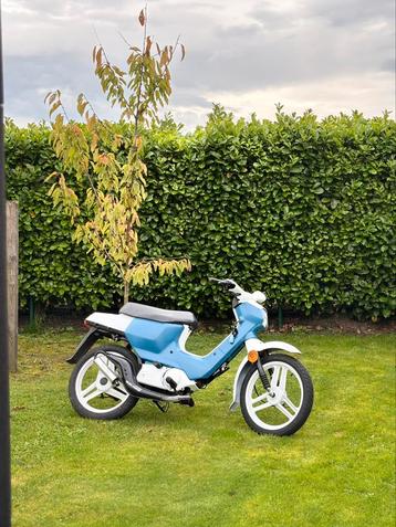 A klasse honda wallaroo beschikbaar voor biedingen