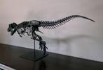 3D T-REX skeletmodel 1m10, Verzamelen, Dierenverzamelingen, Nieuw, Overige soorten, Ophalen, Schedel