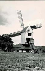 Geel - Elsummolen (Molen van 't Veld), Verzamelen, Postkaarten | België, Verzenden, 1980 tot heden, Ongelopen, Antwerpen
