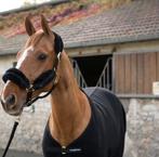 Licol en laine, Enlèvement ou Envoi, Comme neuf, Autres espèces