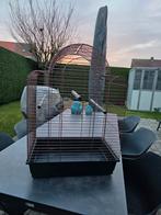 Vogelkooi, Animaux & Accessoires, Oiseaux | Cages & Volières, Enlèvement, Cage à oiseaux