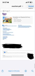 Ticket volwassene Plopsaland, Eén persoon, Ticket of Toegangskaart