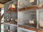 Tours d'élevage, cages à oiseaux