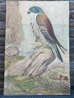 A. Declercq - Torenvalk - 1920 Schilderij, Antiek en Kunst, Ophalen of Verzenden