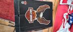 Harley Davidson motorlaarzen, Motoren, Kleding | Motorkleding, Ophalen, Tweedehands, Heren, Laarzen