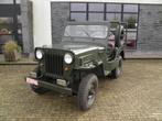 Willys overland, Autos, Jeep, Autres modèles, Achat, Entreprise, Boîte manuelle