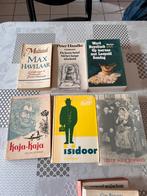 Groot aantal Belgische literatuur + aantal klassiekers, Ophalen of Verzenden, Gelezen, België