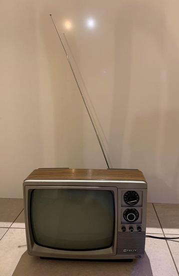 Mooie retro - vintage nog werkende TV.  beschikbaar voor biedingen