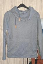 2 truien met capuchon merk Ayacucho maat smal, Kleding | Dames, Truien en Vesten, Ayacucho, Ophalen of Verzenden, Zo goed als nieuw