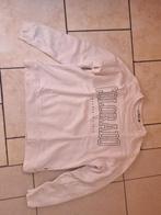 trui, Kleding | Dames, Wit, Ophalen of Verzenden, Maat 36 (S), America Today