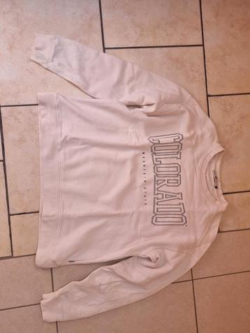 trui, Kleding | Dames, Wit, Ophalen of Verzenden, Maat 36 (S), America Today