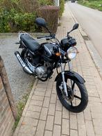 Yamaha YBR 125, Motos, Particulier